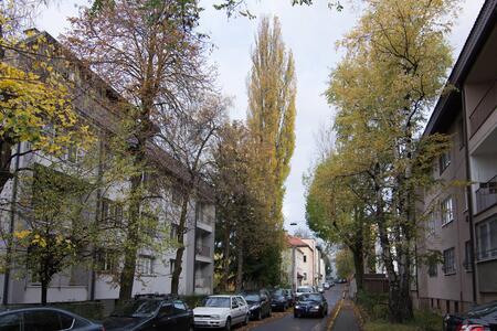 A street in Sarajevo